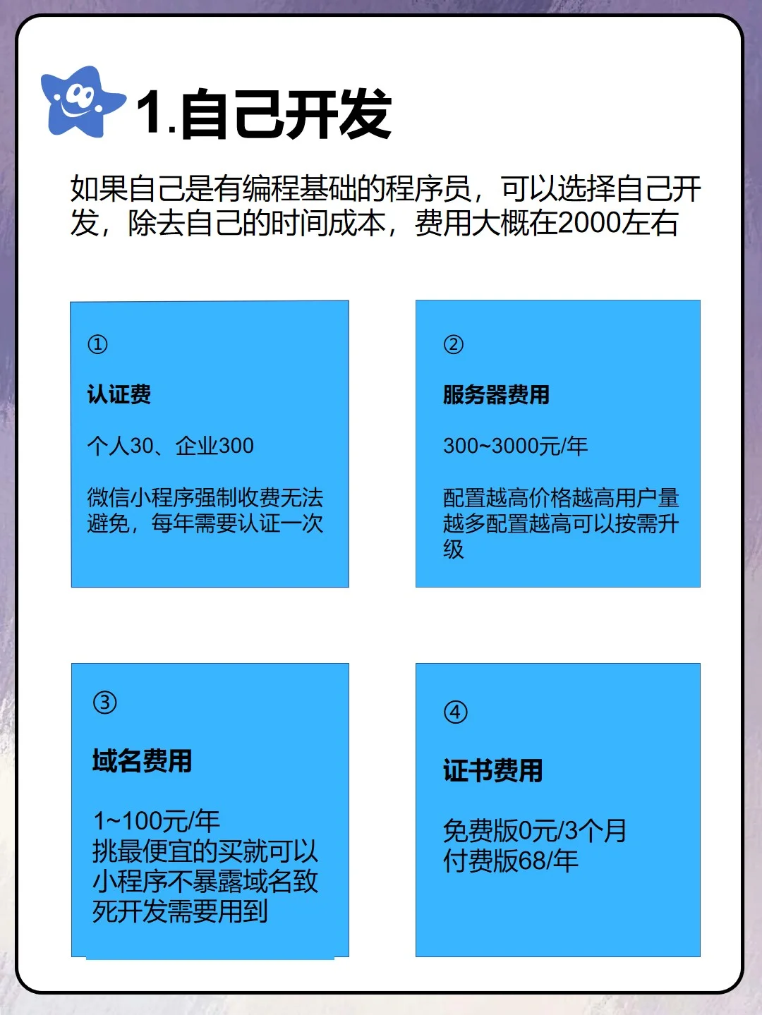 2025 年商城小程序费用定制党必看攻略📝