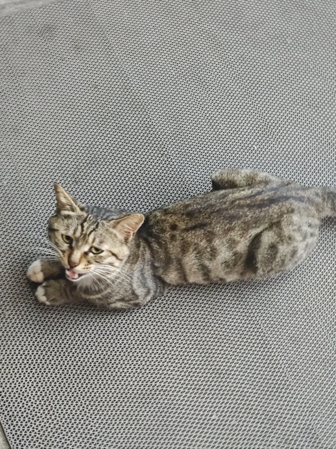 年度最佳电影，没有之一