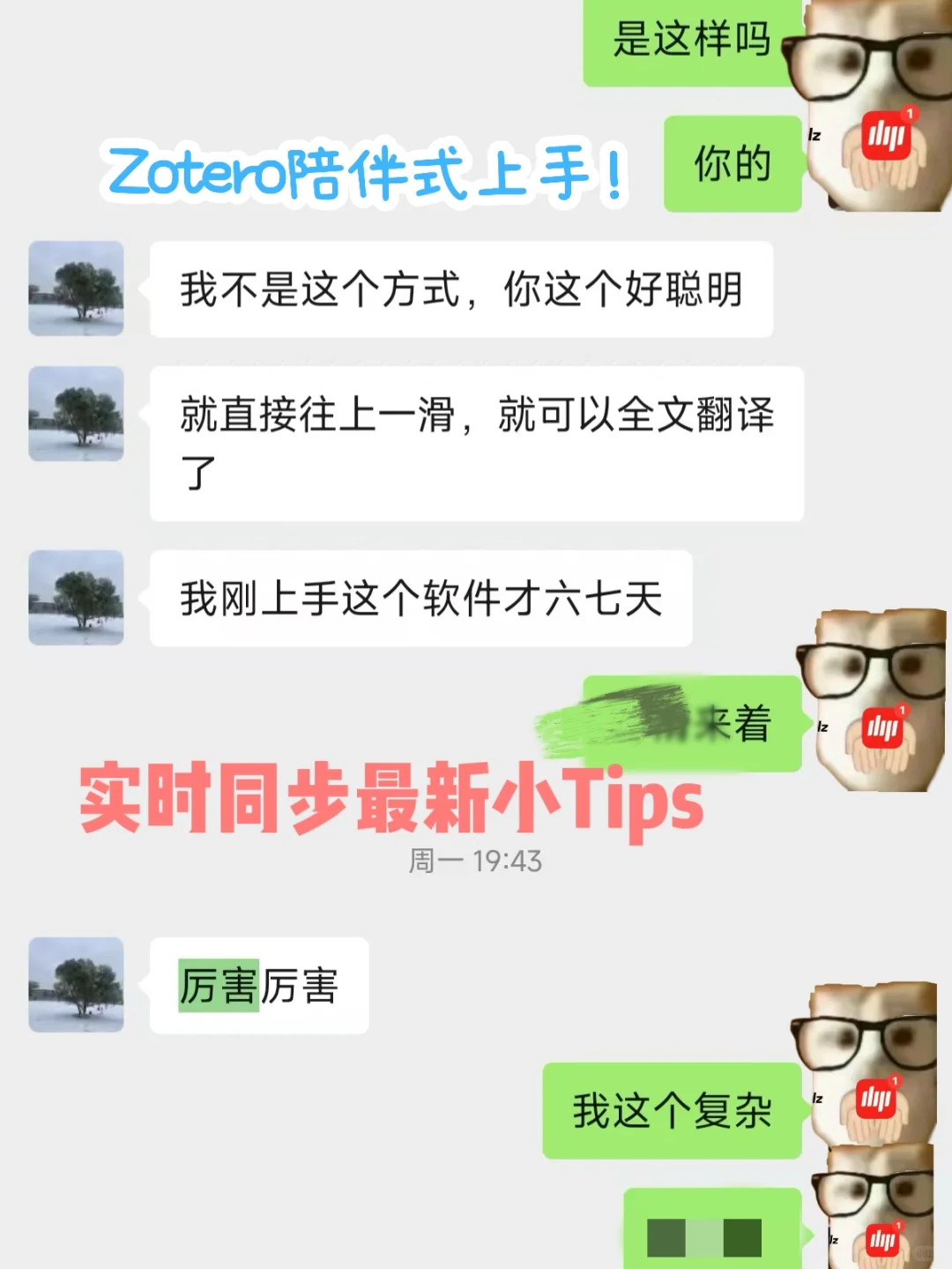 Zotero插件配置完成✅打造智能文献管理系统