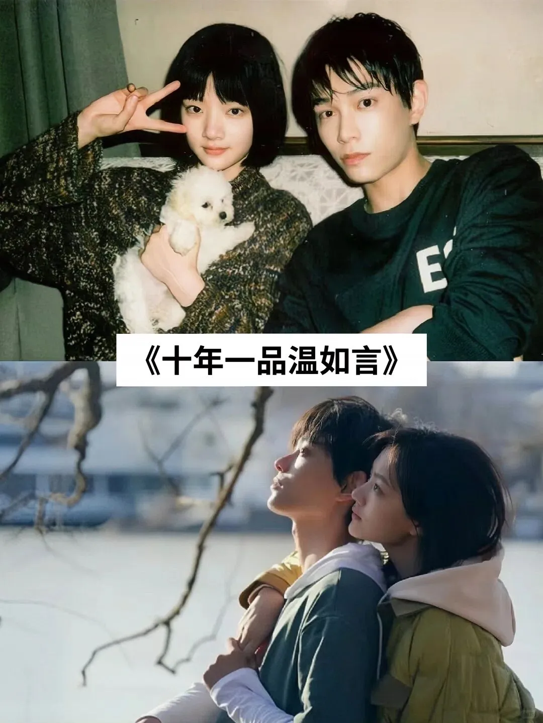 推荐16部虐哭无数人的电影！