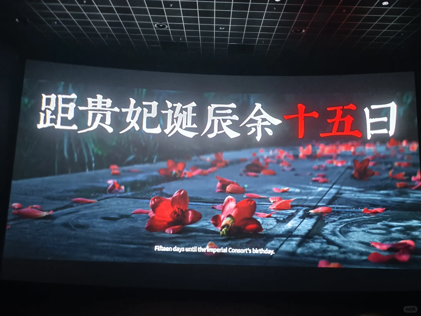 长安的荔枝观影