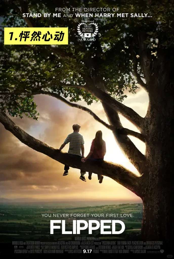 一个人也可以看的经典爱情电影🎬分享