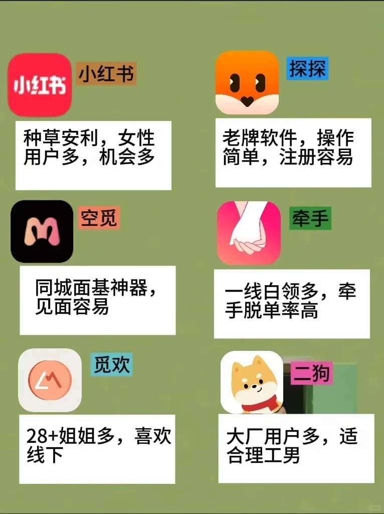 2025社交软件使用详情