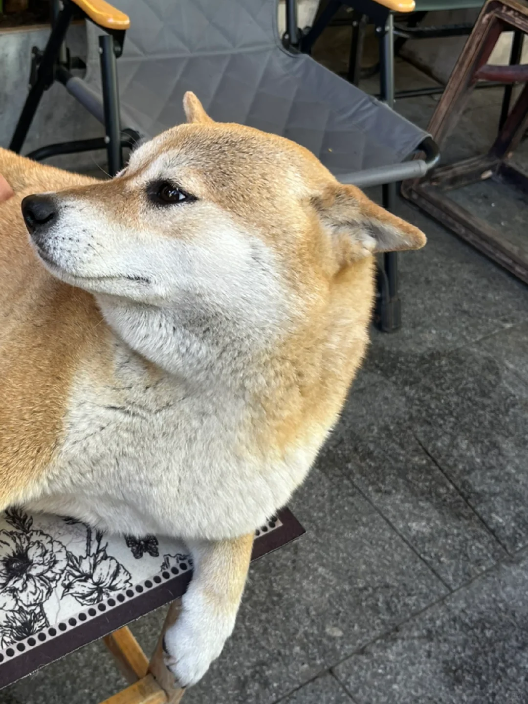 WPS 一个不太礼貌的软件