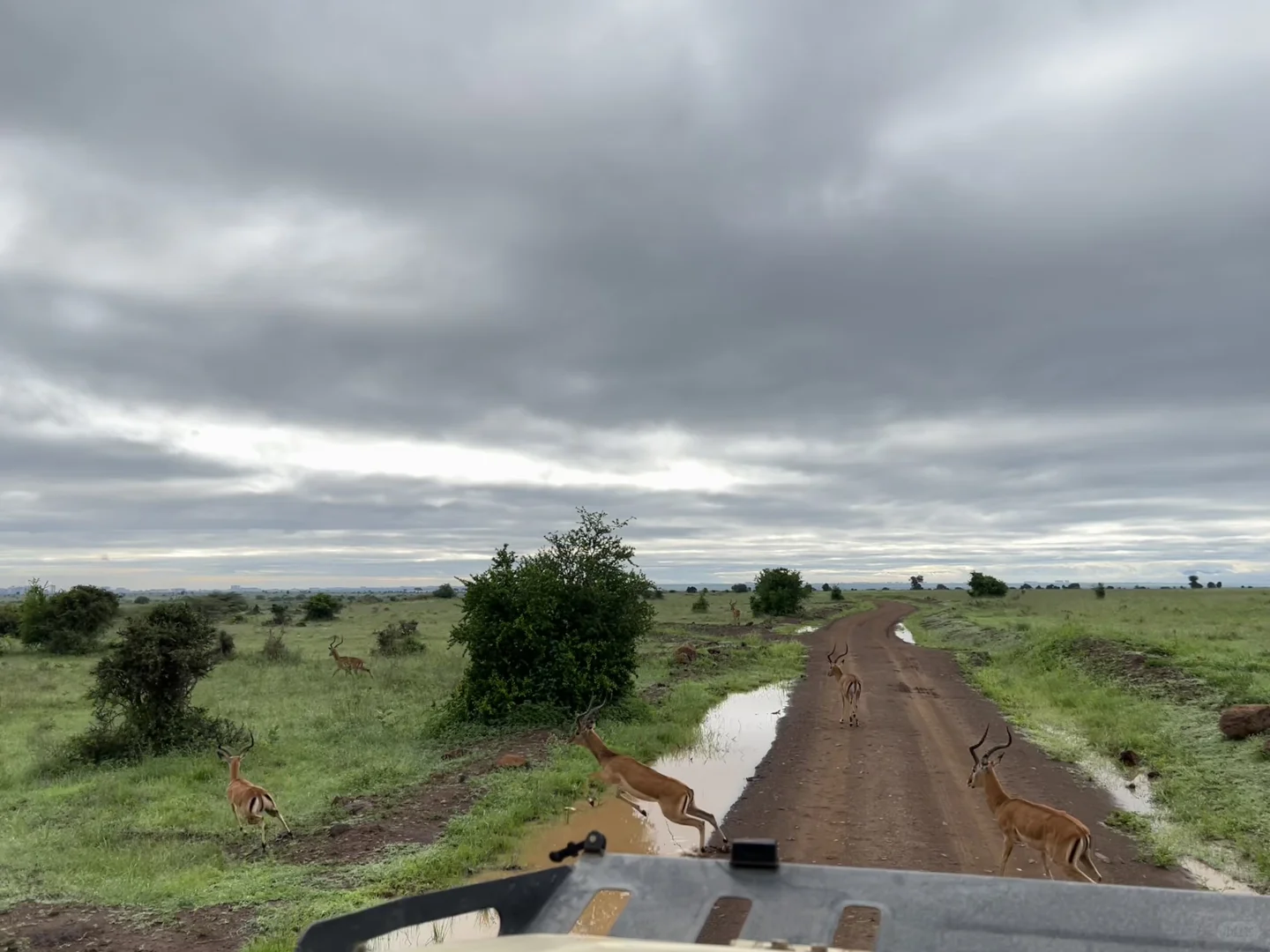 外资精品咨询consulting HIRING