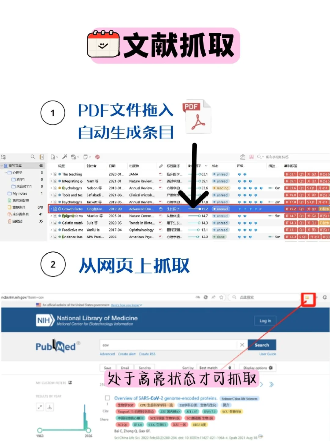 Zotero插件配置完成✅打造智能文献管理系统