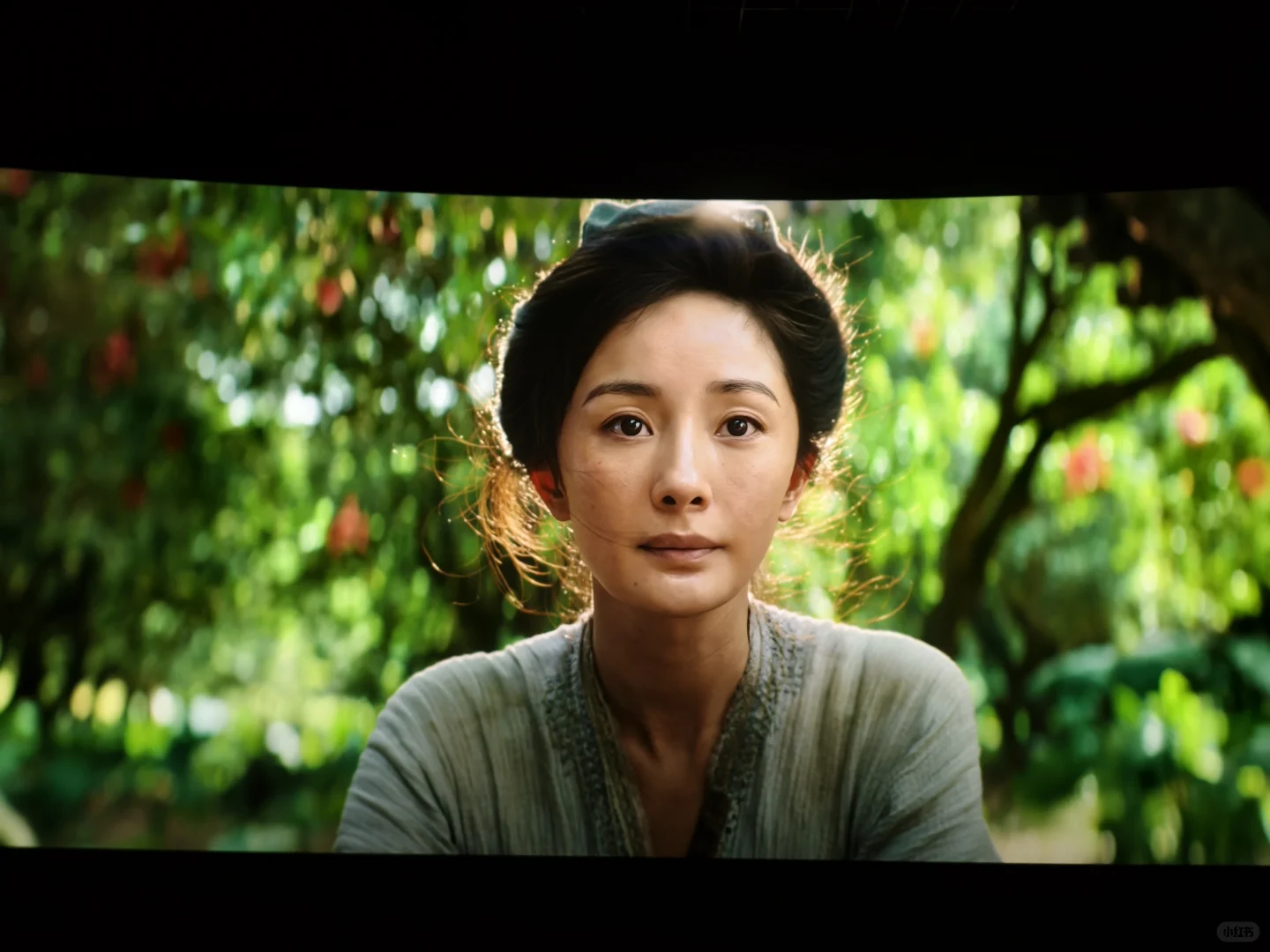 长安的荔枝观影