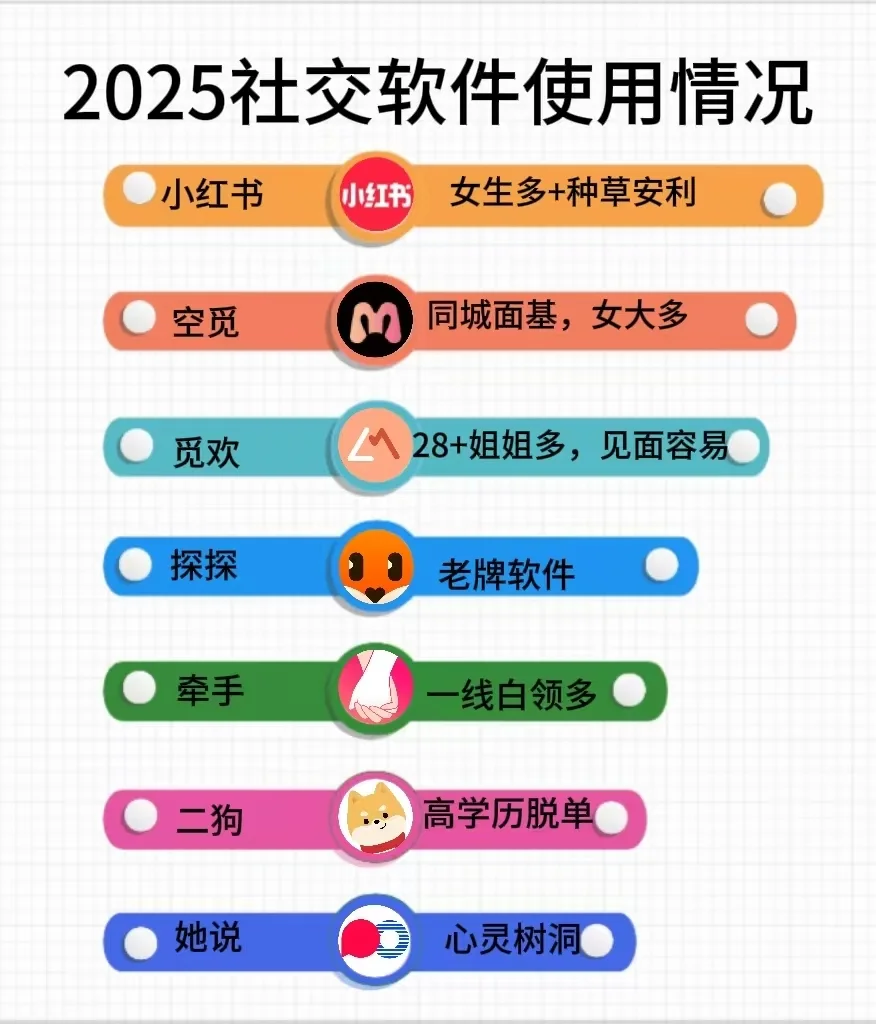 2025社交软件使用详情