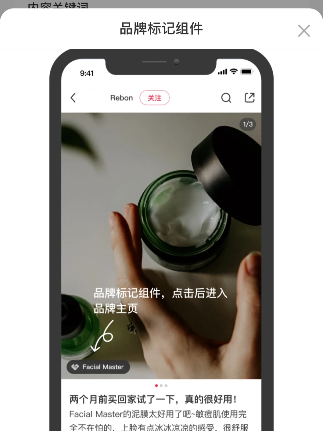 🌵｜蒲公英组件有哪些❓怎么用❓👇莱