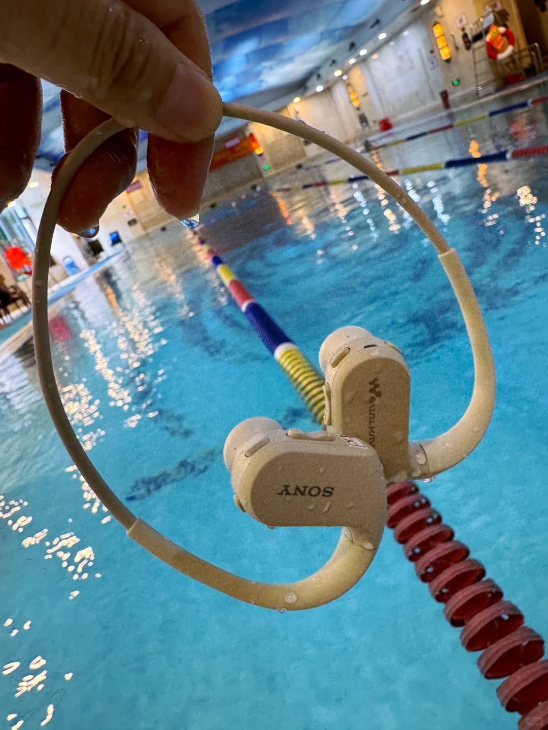 什么！你还不会下载MP3歌曲？