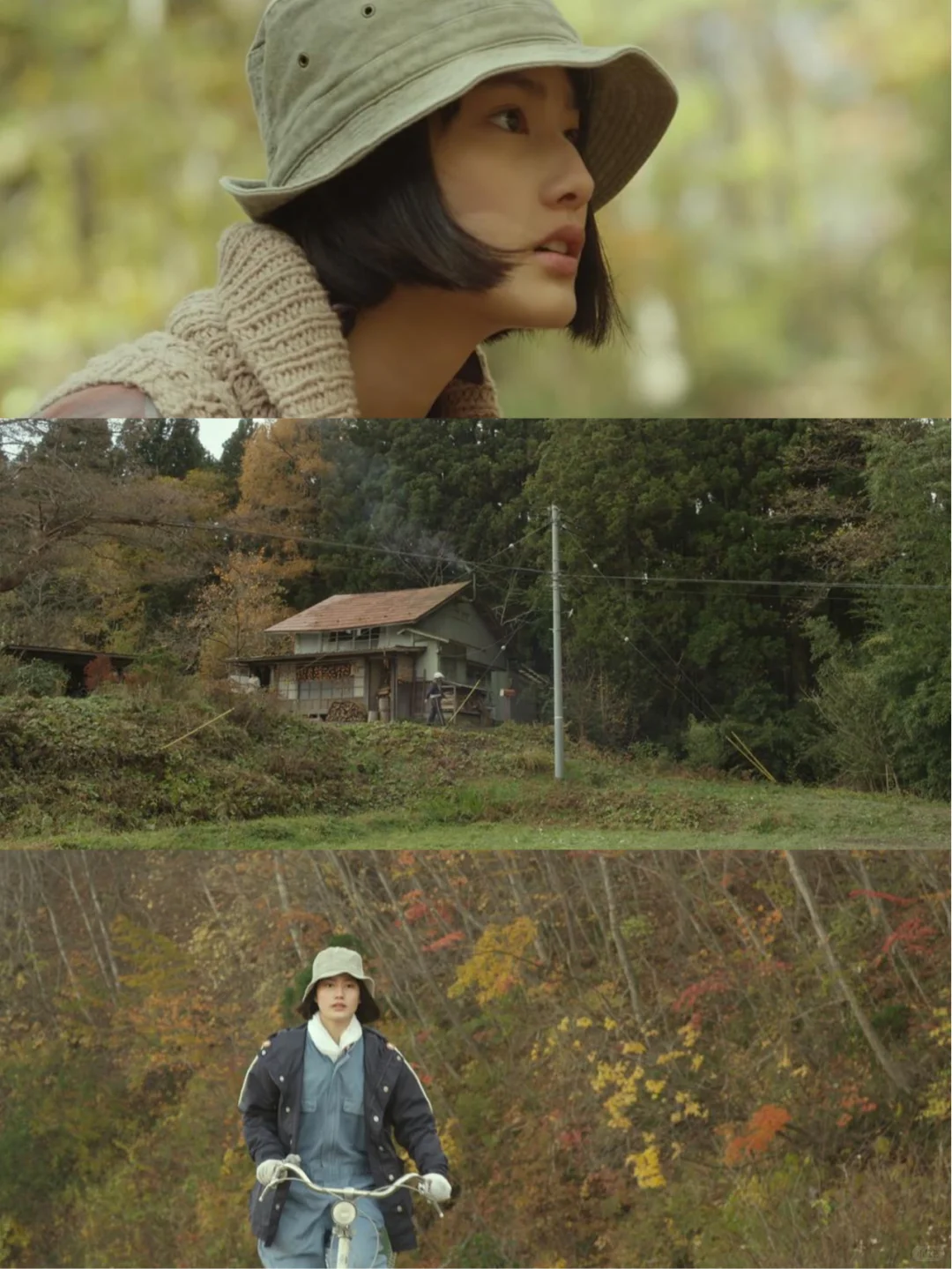 审美提升|9部画面绝美的电影·适合秋天观看