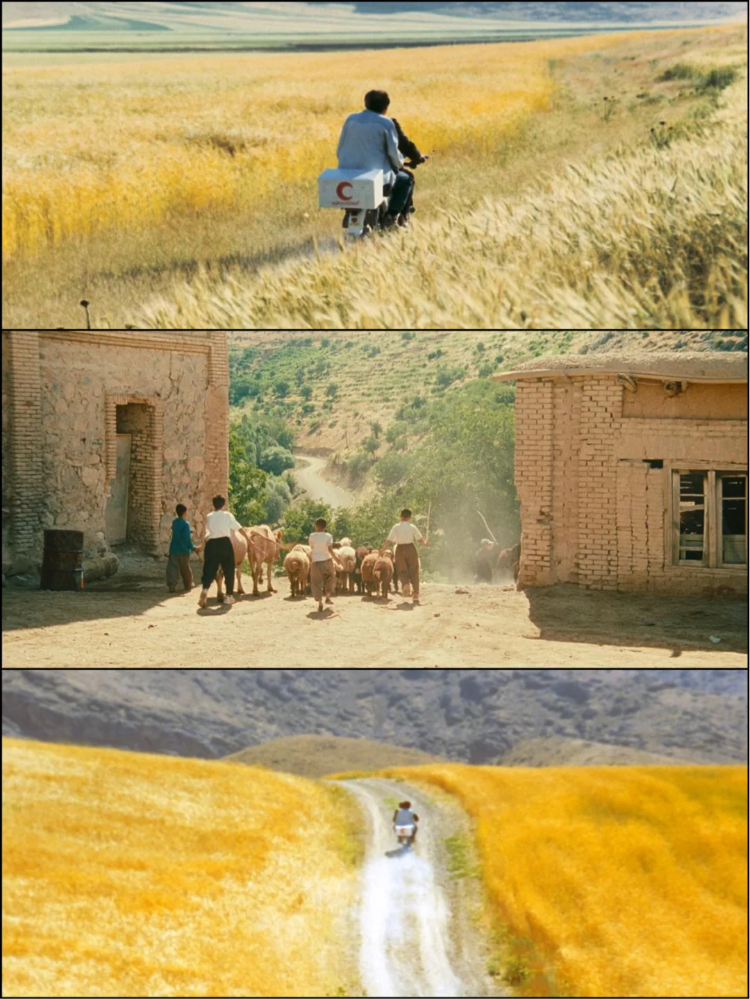 审美提升|9部画面绝美的电影·适合秋天观看