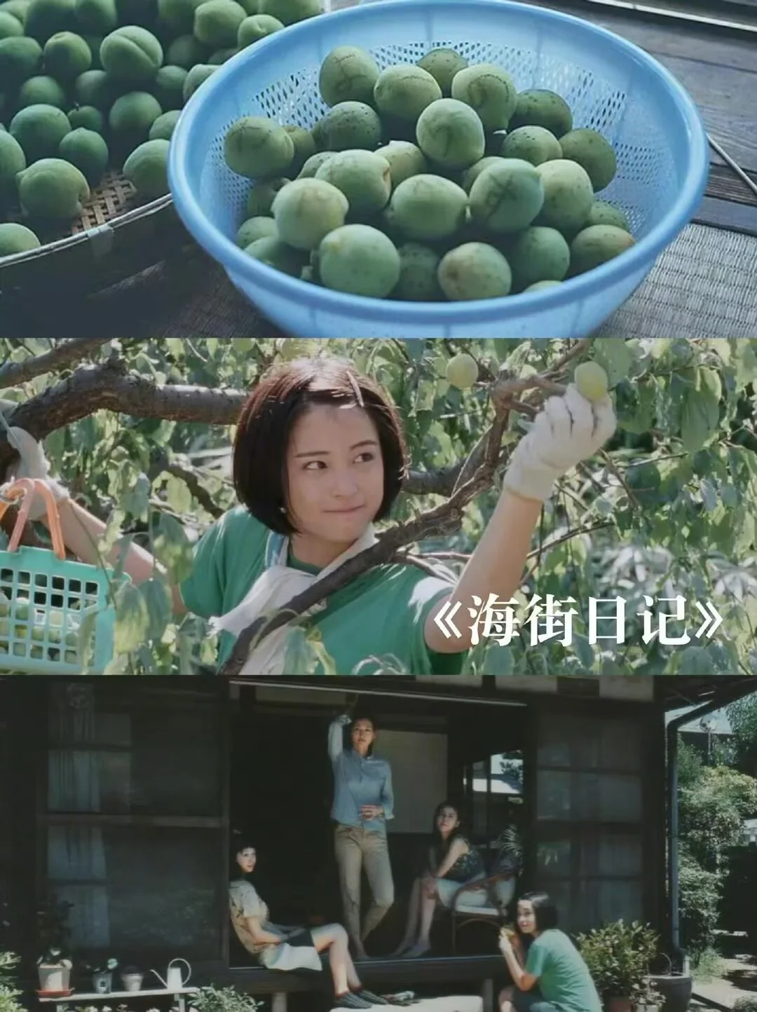 适合夏天宅家观看的治愈电影