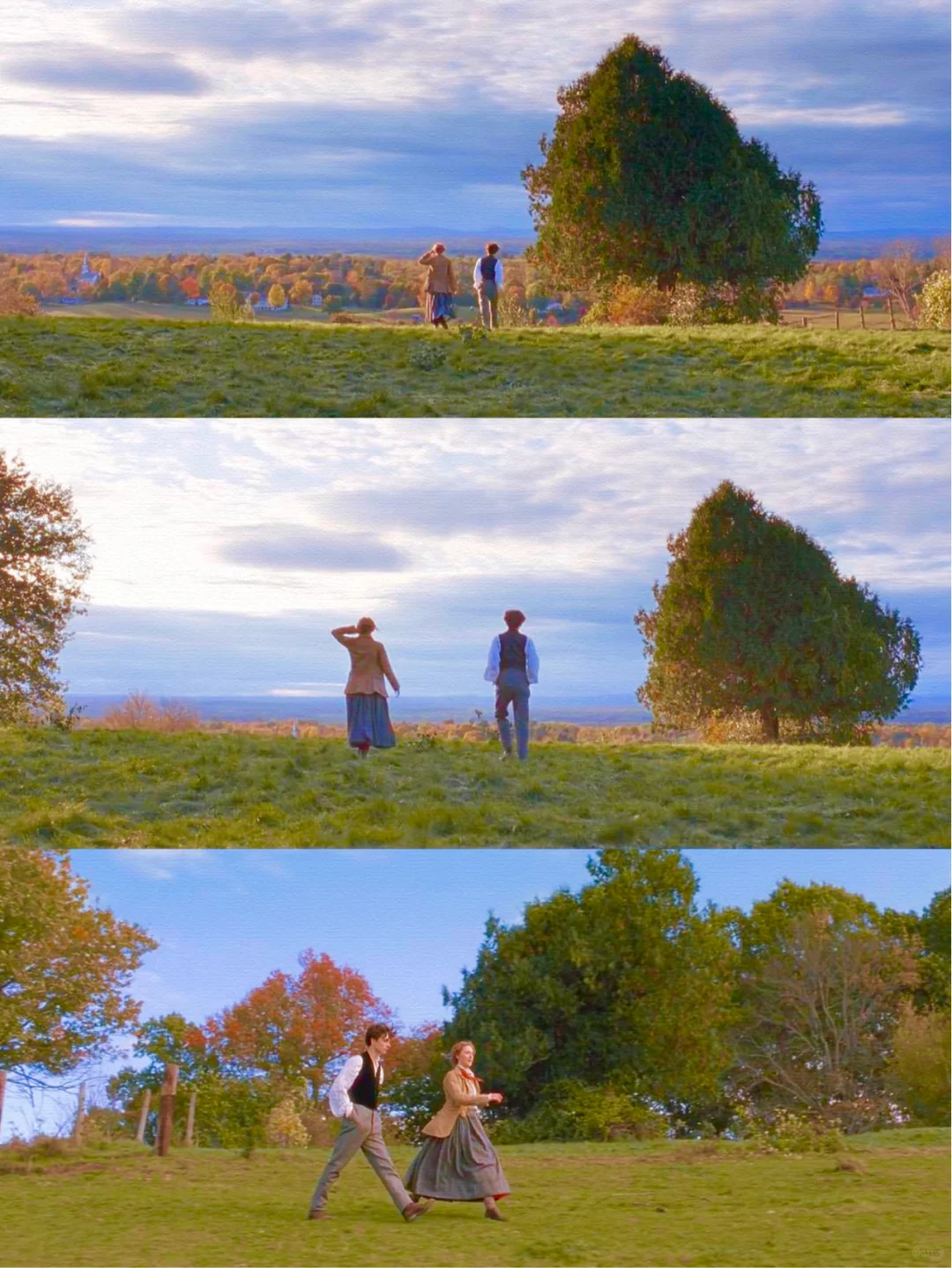 审美提升|9部画面绝美的电影·适合秋天观看