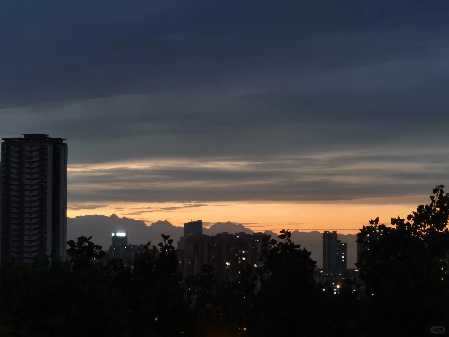 手机娱乐毁了我很多东西