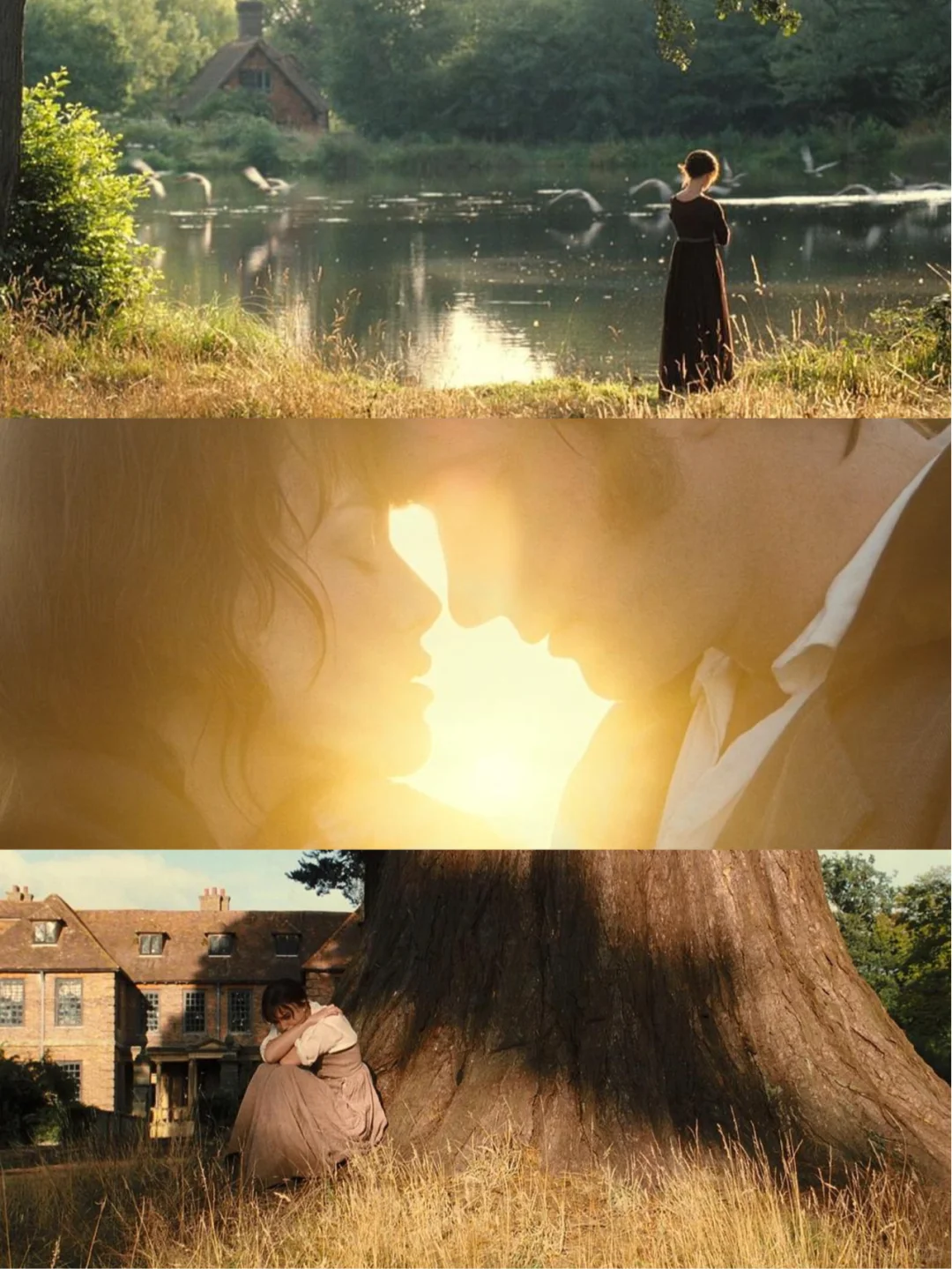 审美提升|9部画面绝美的电影·适合秋天观看