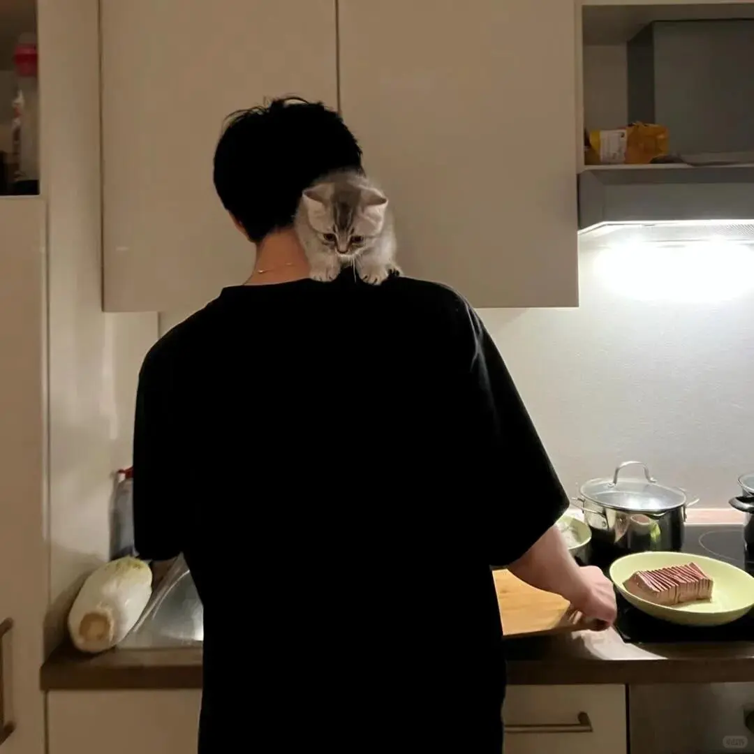 苹果有免费看视频的软件吗 各位大佬