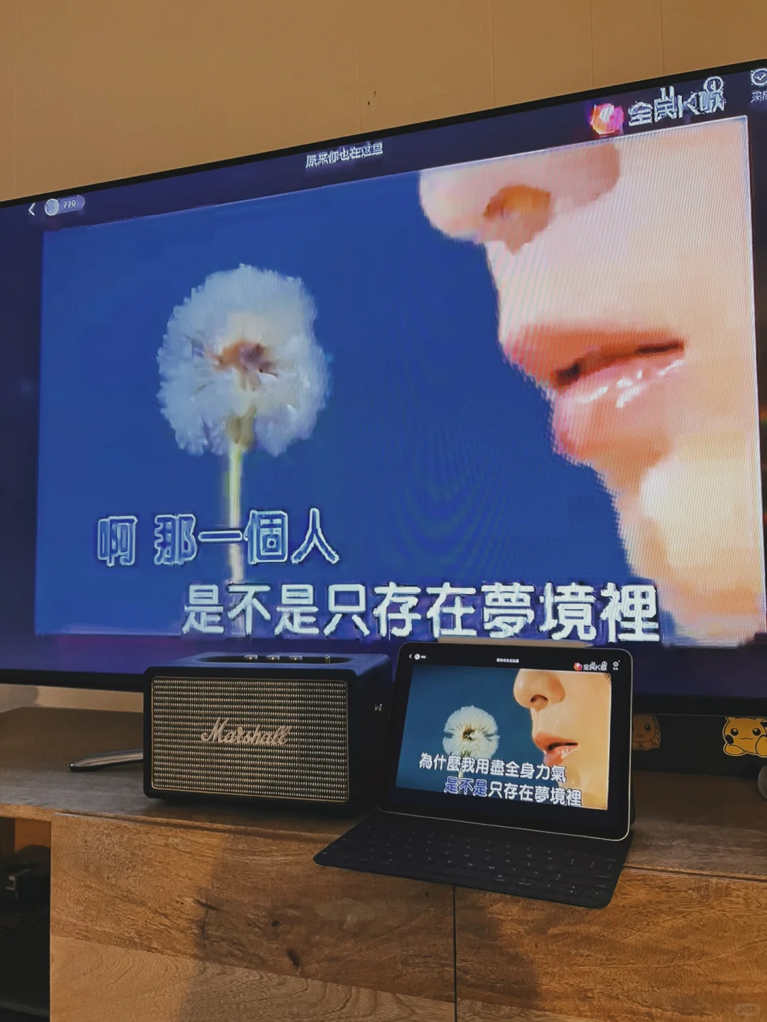 40美金打造北美家庭KTV|不需要KTV点唱机