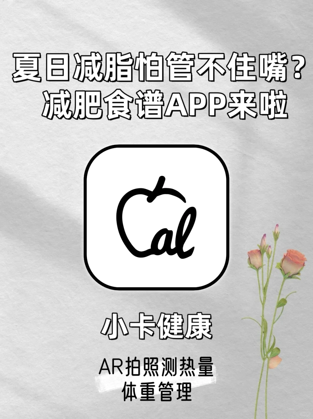 夏日减脂怕管不住嘴？减肥食谱APP来啦