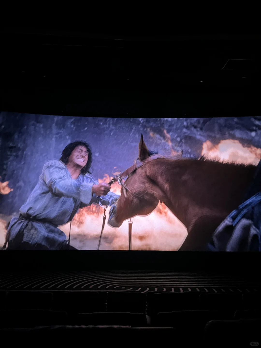 今年的落泪电影片段