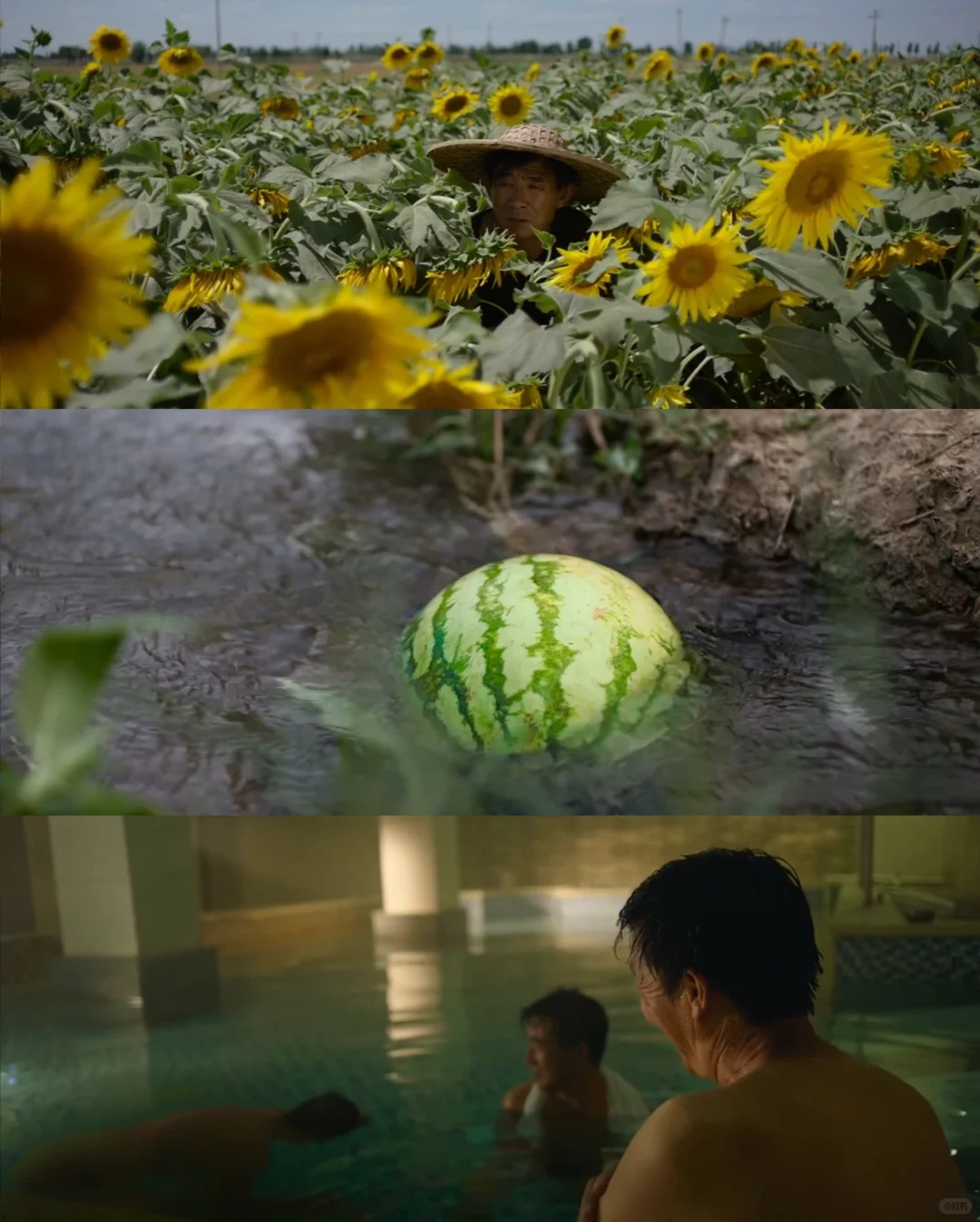 如果你想在夏天找一部电影看