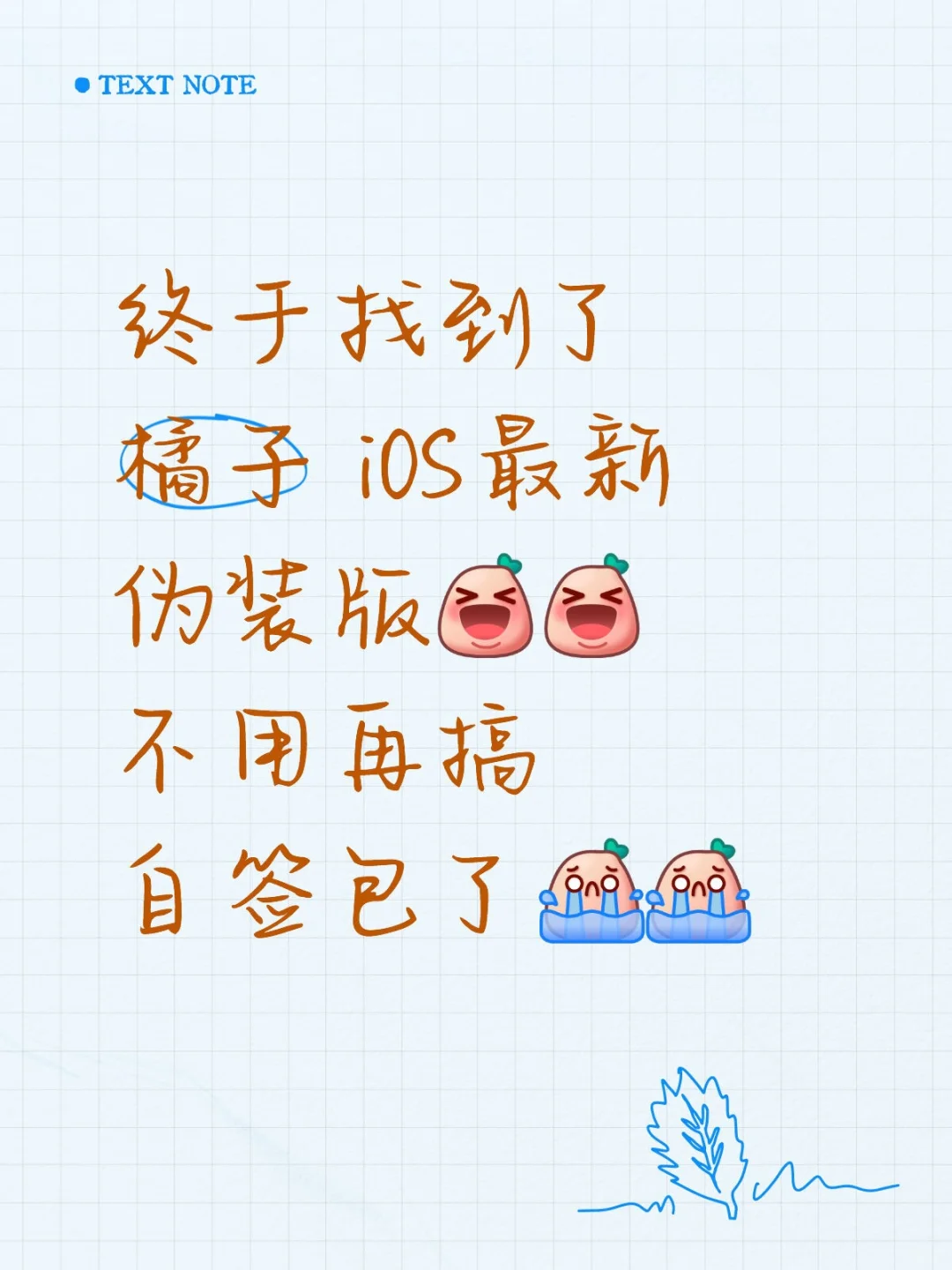 🍊iOS版上线！！