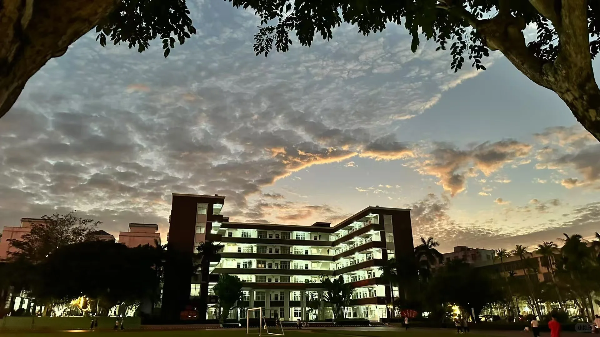 海软在读大二学长，欢迎大家前来咨询