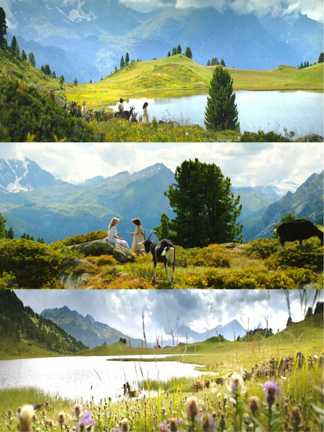 审美提升|9部画面绝美的电影·适合秋天观看