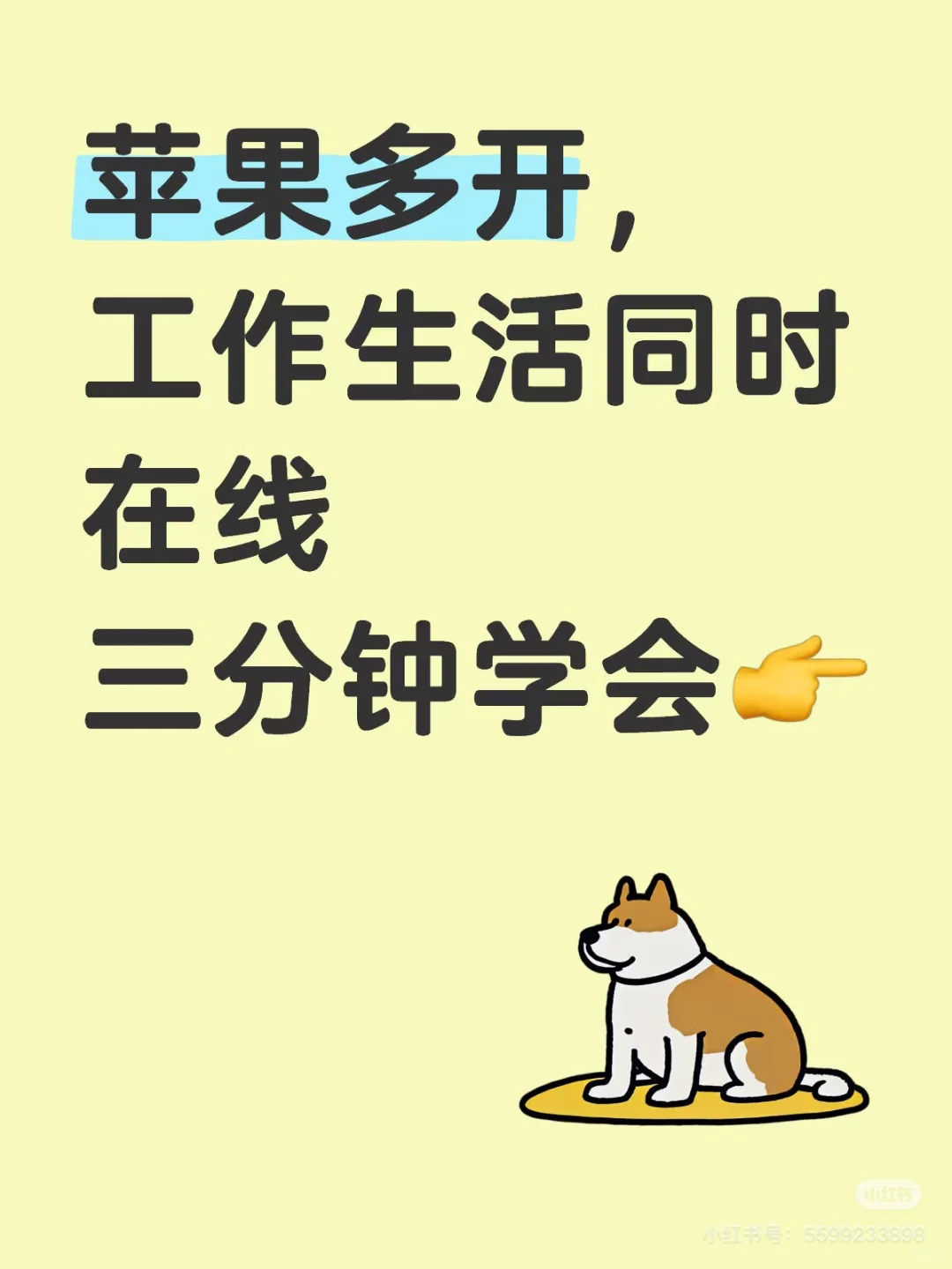 苹果多开，工作生活同时在线