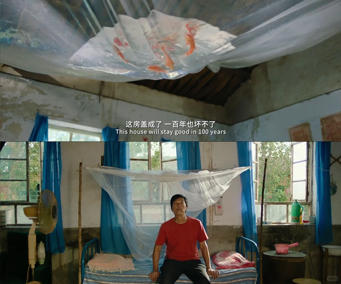 如果你想在夏天找一部电影看