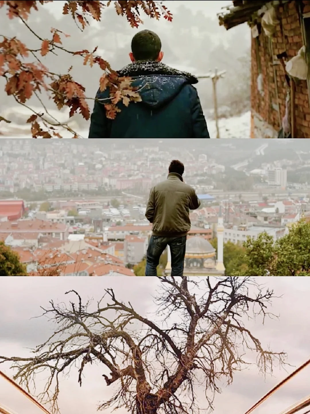 后劲好大😭一部被片名耽误的神作🌟