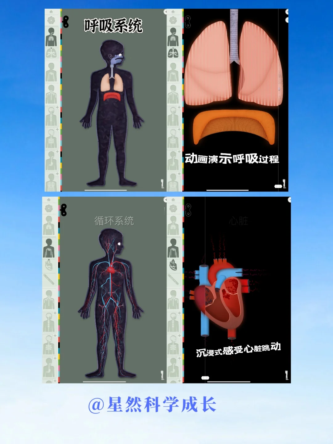 科普软件|把人体博物馆揣兜里！这个APP神了