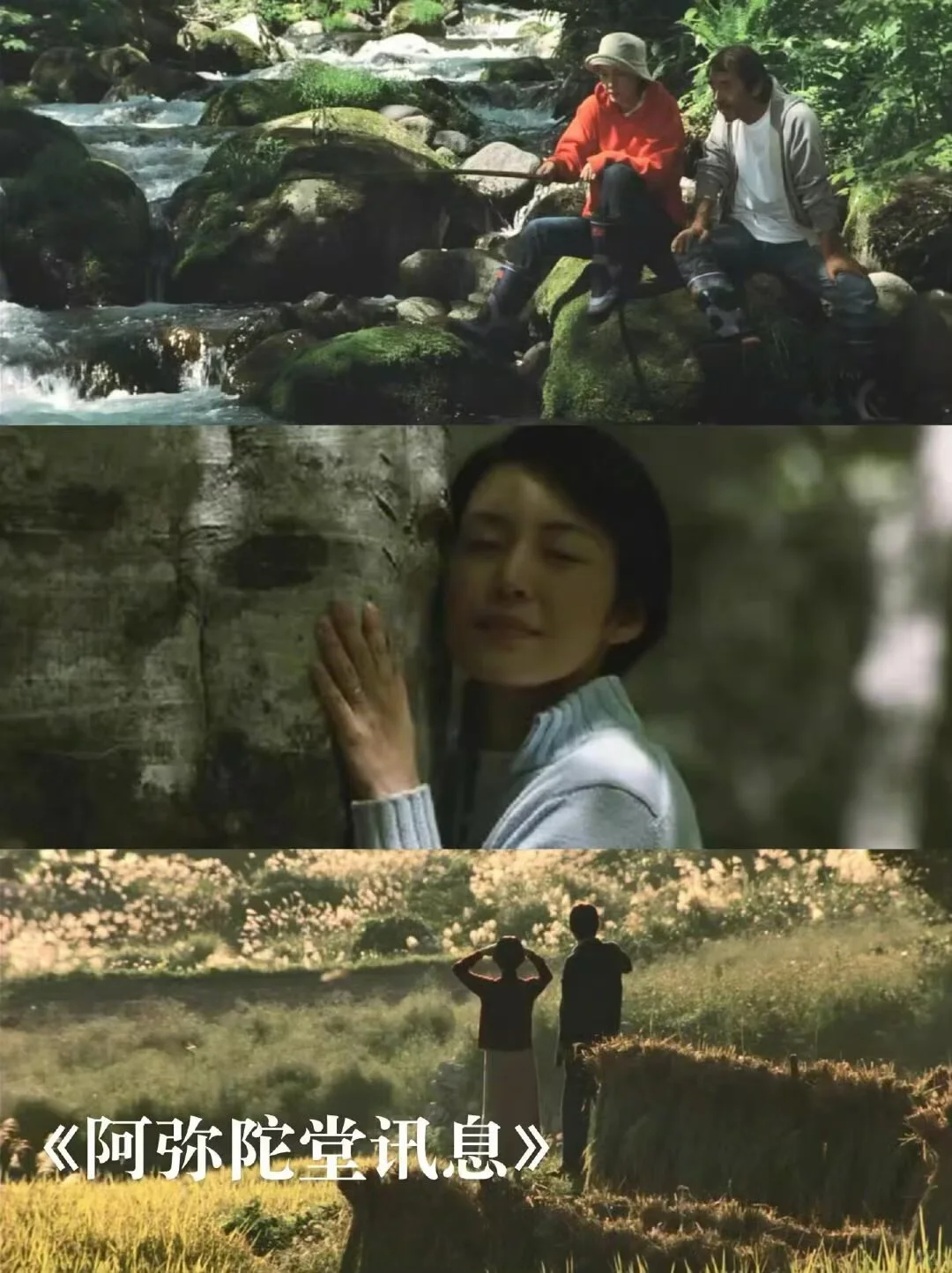 适合夏天宅家观看的治愈电影