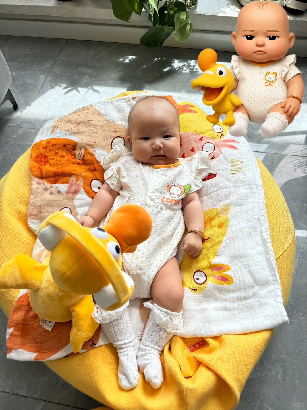 发现了一个可爱的软件