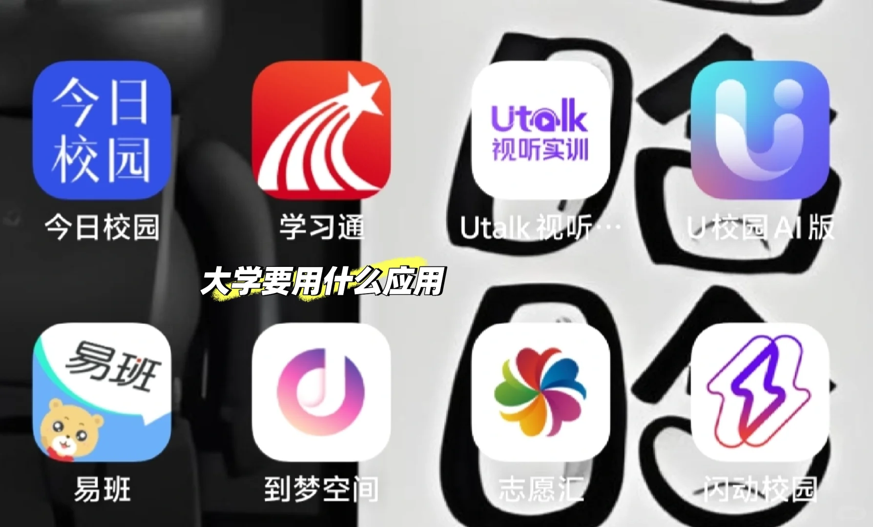 宠幸你四年的应用