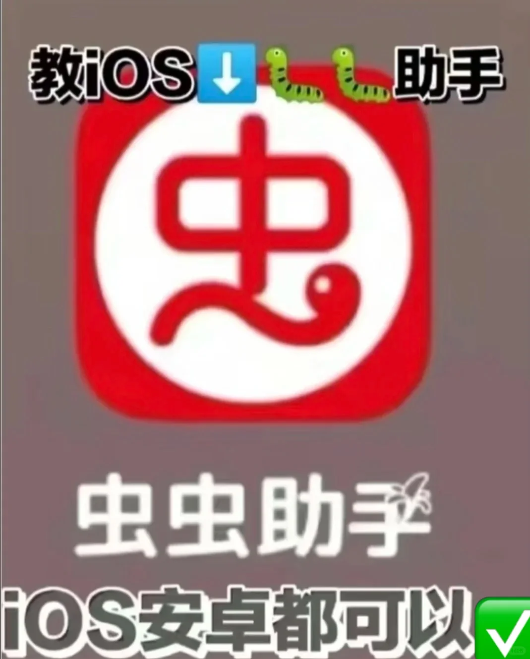 教ios下载虫虫助手