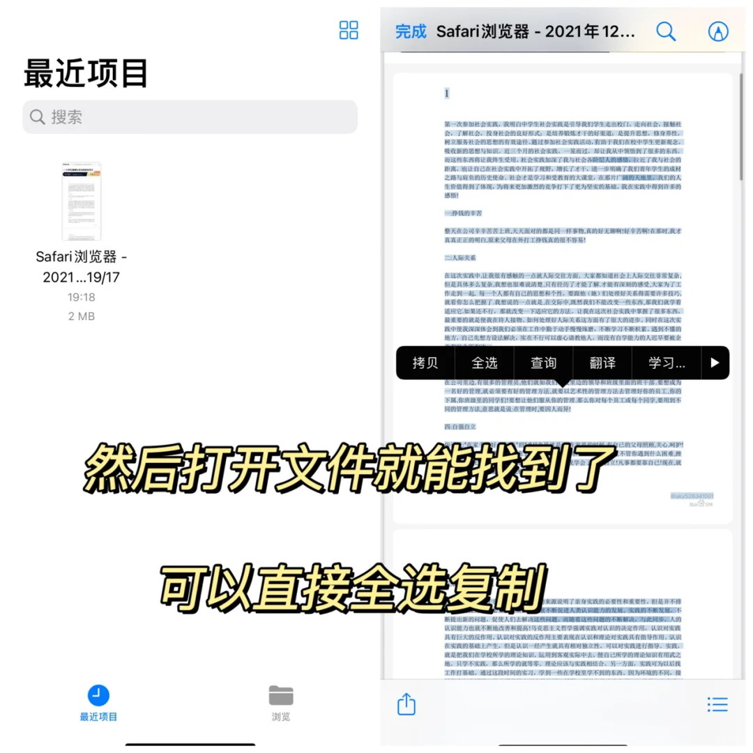 苹果自带游览器太绝了❗️找资料不花💰❗️