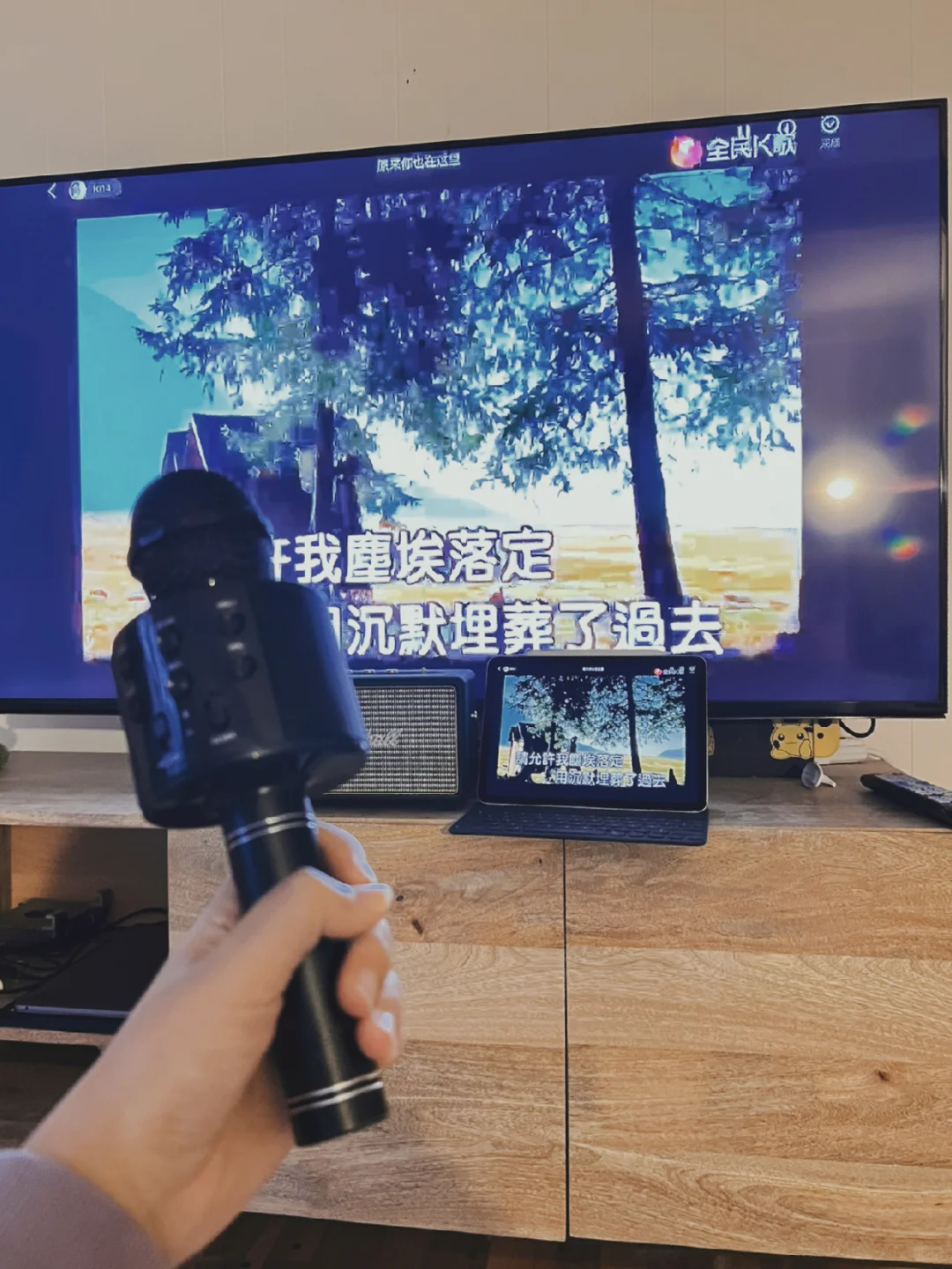 40美金打造北美家庭KTV|不需要KTV点唱机