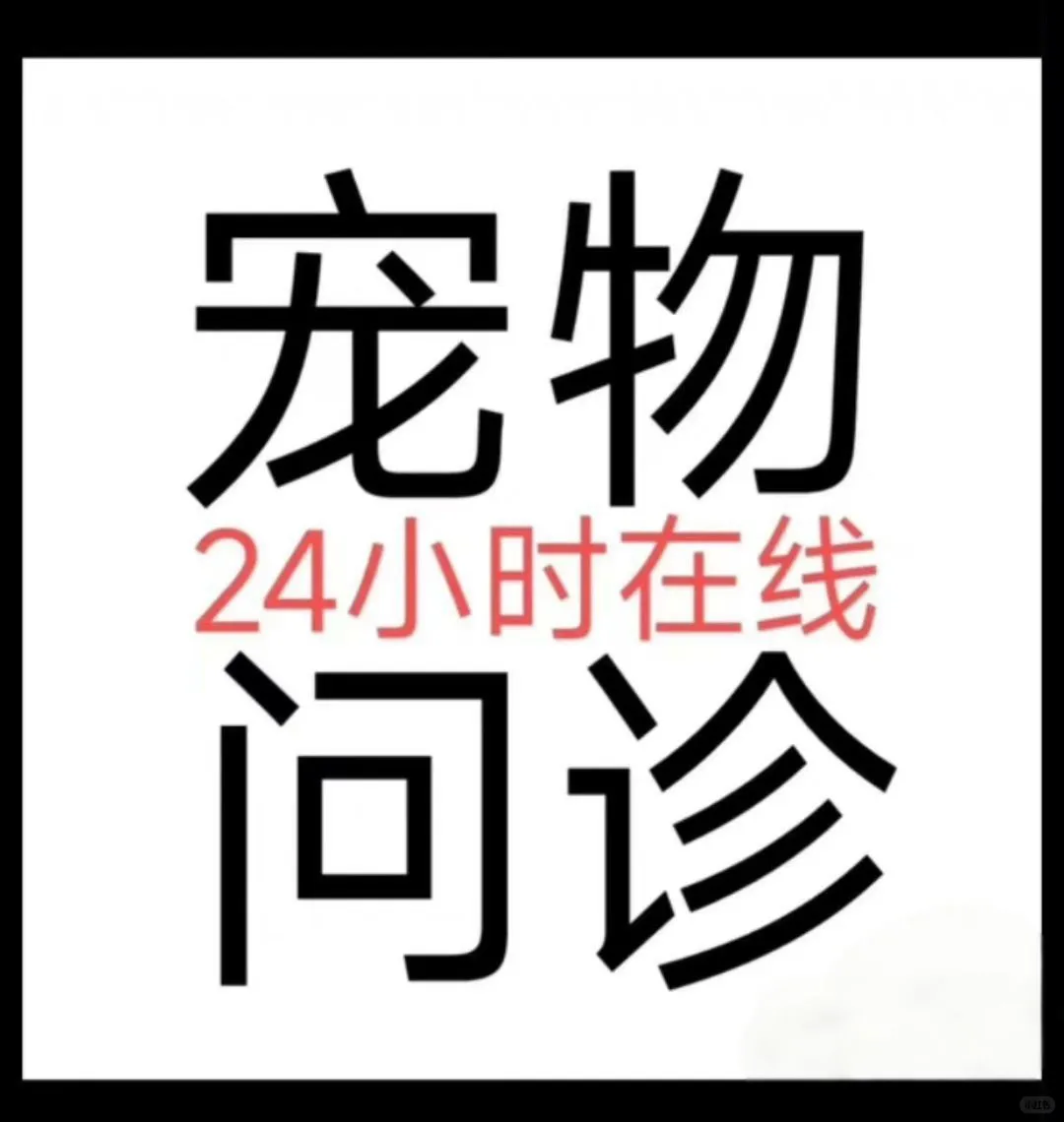 24小时在线宠物问诊 专业犬猫疾病咨询