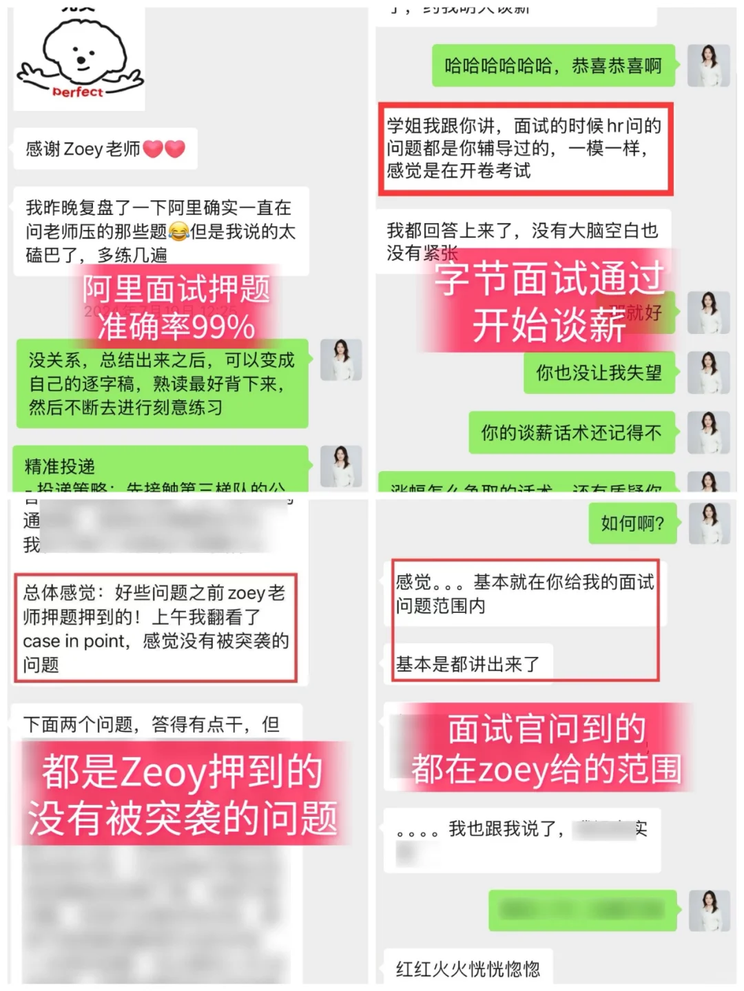 1V1求职陪跑，手把手带你拿offer