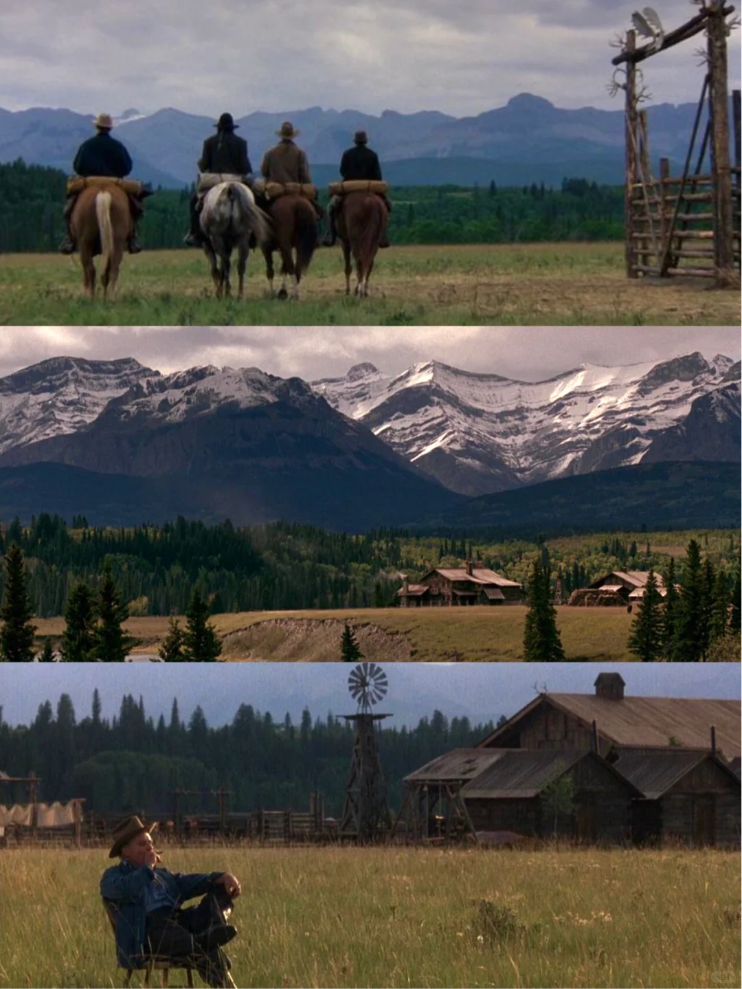 审美提升|9部画面绝美的电影·适合秋天观看