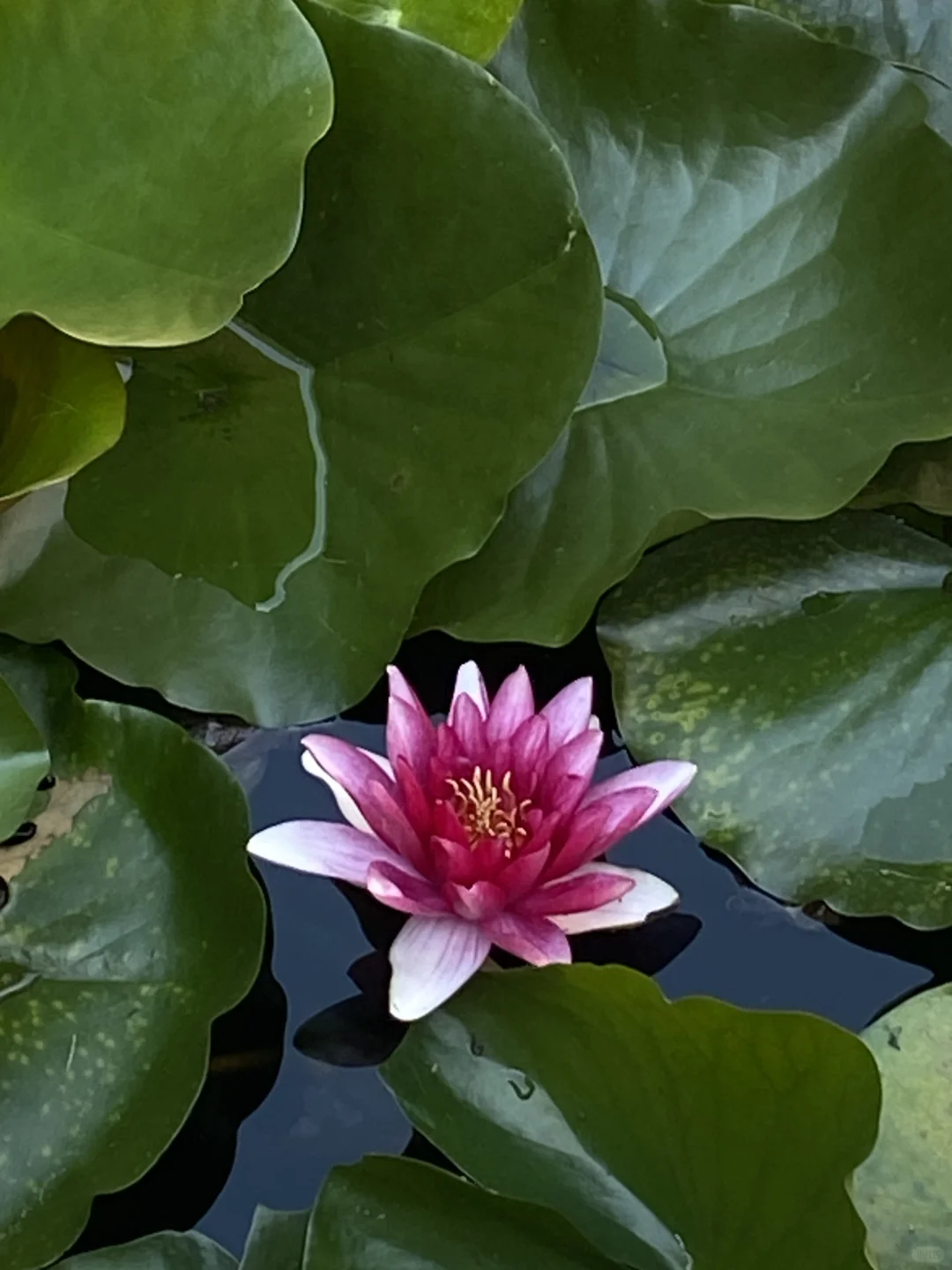 最美的事，是有人交钱跟我说话