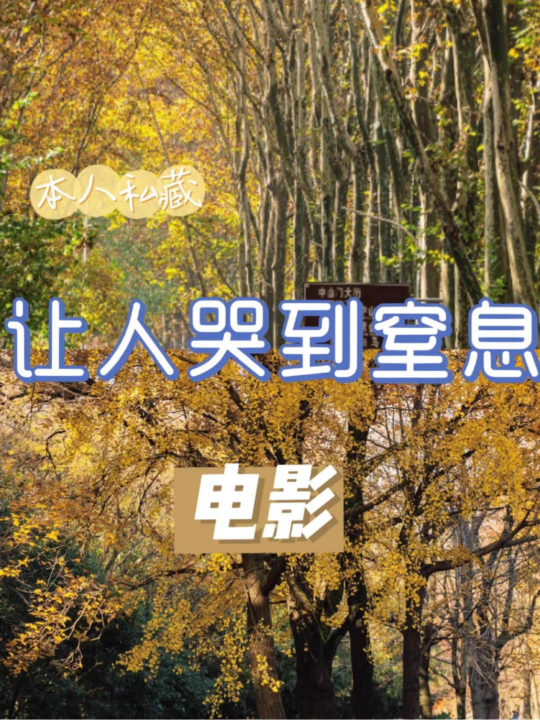 让人哭到窒息的电影 感动哭