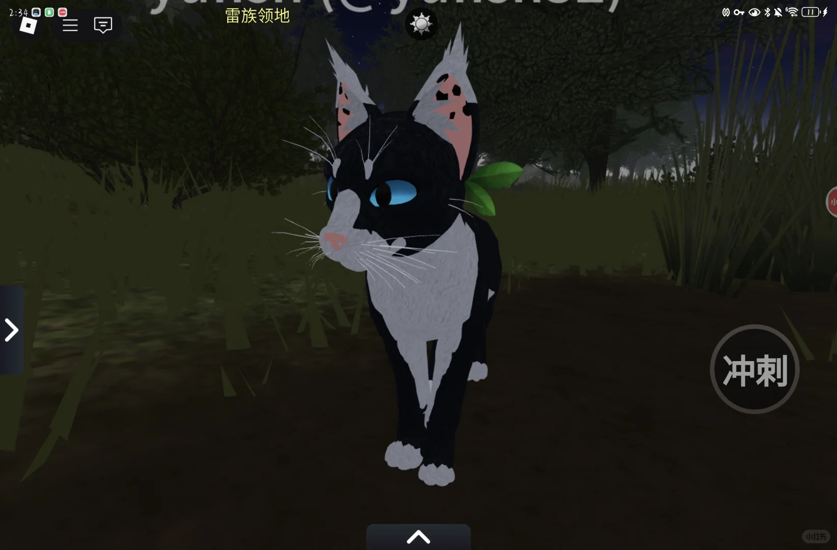 猫武士同人游戏游玩方法