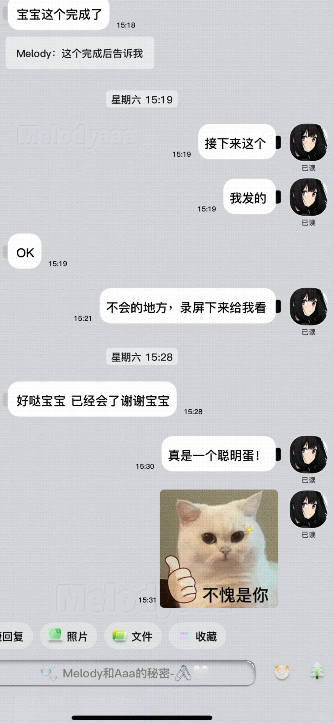 说了包教会 就肯定包教会