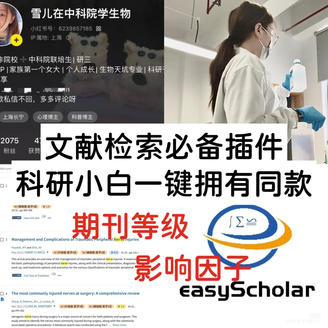 被夸爆的文献插件长这样