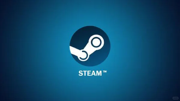 有关STEAM的新手教程