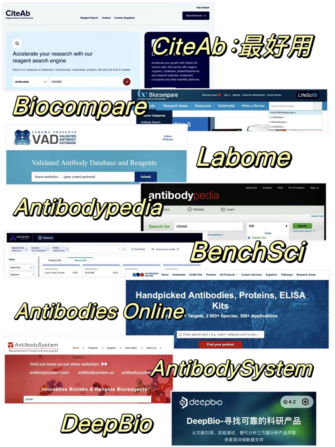 听说开学就要用的科研工具👀