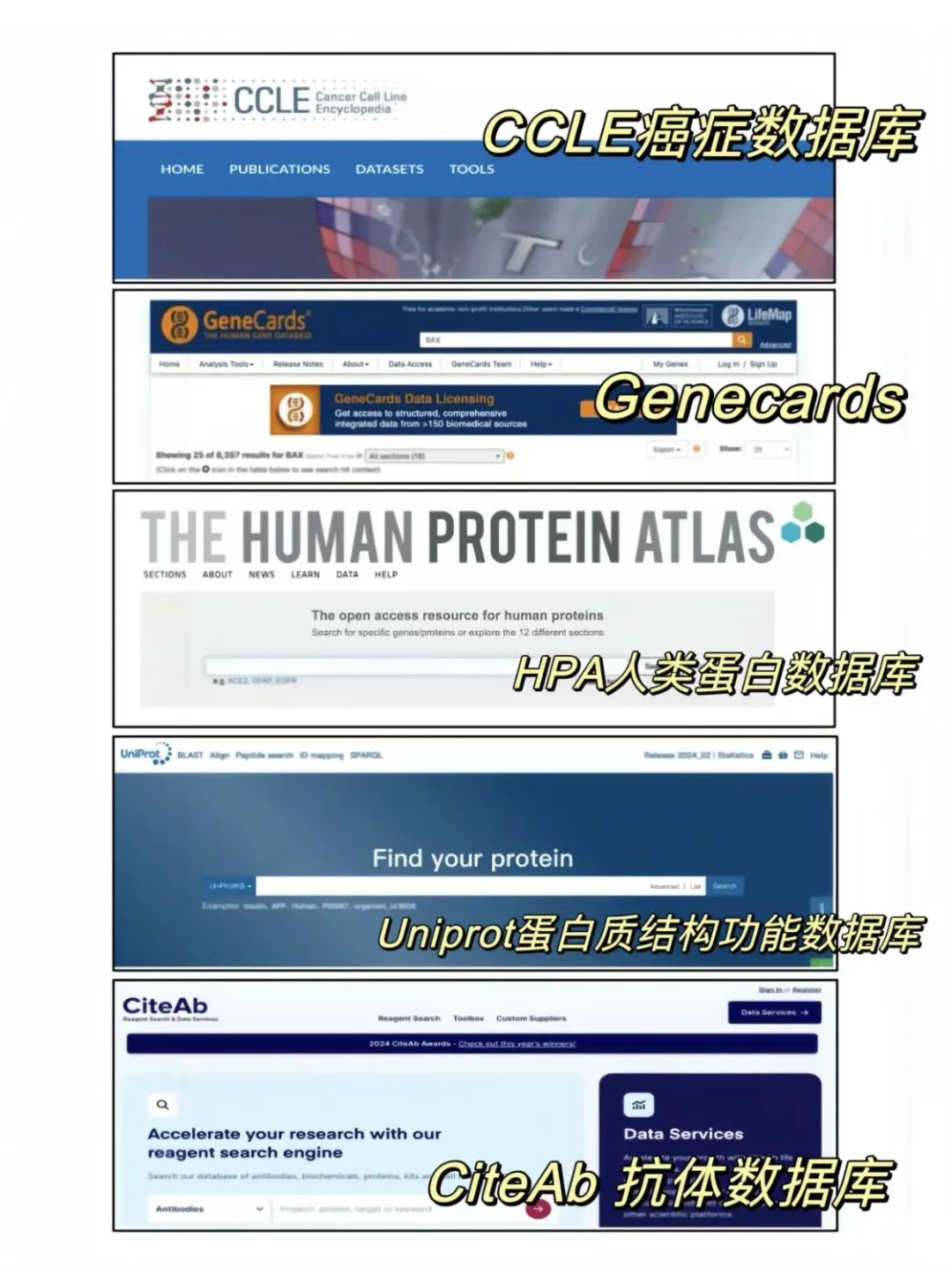 听说开学就要用的科研工具👀