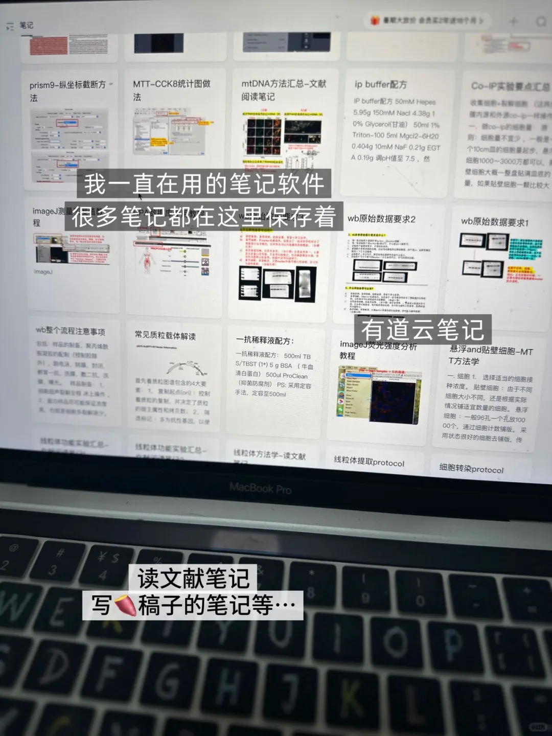 听说开学就要用的科研工具👀